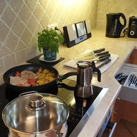 Kaminwohnung Mit 24Qm Suedterrasse Naehe Zugspitze / Eibsee Garmisch-Partenkirchen