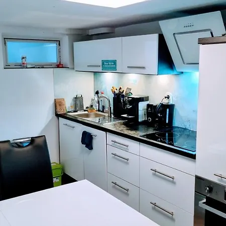 Kaminwohnung Mit 24Qm Suedterrasse Naehe Zugspitze / Eibsee