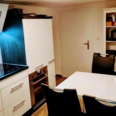 Kaminwohnung Mit 24Qm Suedterrasse Naehe Zugspitze / Eibsee Garmisch-Partenkirchen